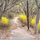 방음리새마을공원 이미지