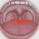 GR(음성군)-[가곡로]-하-7 | 생존 보고서