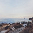 할리스(동해묵호점) 이미지