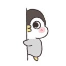 머리못하는집 Daum카페