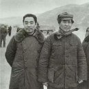 중앙번역 이미지