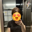 일포덤 5