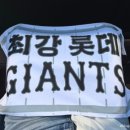 941 | 사직야구장 정관장 에브리타임존 정관장석 941블럭 시야 후기 가격