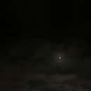 고리울초 이미지