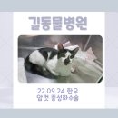 한우동물병원 이미지