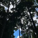 신기한 동식물여행 2 이미지