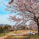 온천천~수영강연결 산책로 입구 | 부산 벚꽃 명소 개화시기 피크닉으로도 최고