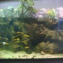 해양생태전시관 이미지