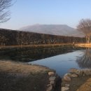 연지민박 이미지