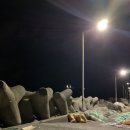 임곡슈퍼 | [ 바다 낚시 ) 11 월 7 일 - 포항 임곡 방파제 밤낚시 후기 ]
