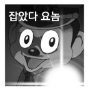 큰언니옷장 이미지
