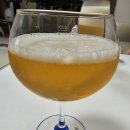 GS25 신상 맥주 추천! 오리지널 비어 컴퍼니(OBC) 편의점 맥주 솔직 후기