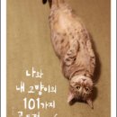 나와고양이 이미지