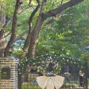 사하구-77 | 부산 사하 괴정 카페 만디 cafe mandi * 내돈내산 리얼 후기 / 주말웨이팅 / 메뉴추천 / 주차장 / 가는길
