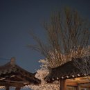 다은식당 | 수지 동천 가족모임 한식당 오월식당