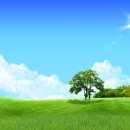 햇살 좋은날 이미지