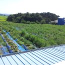 유안농장 이미지