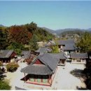 땅끝홍삼