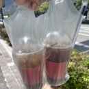 뷰티soo | 대구 감삼동 속눈썹펌/대구 죽전동 속눈썹펌 잘하는곳 :: 수뷰티 속눈썹펌 후기