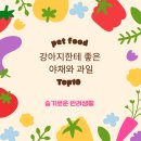 우리야채;과일