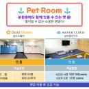 한일펫 네이버블로그