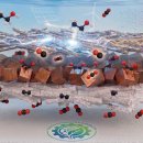 골프PC(인-264) 이미지