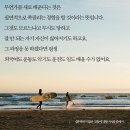 비올라 1:1 개인레슨 이미지