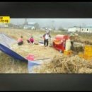 구미돈우마을 이미지