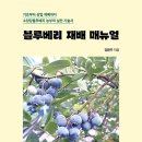 <블루베리 재배 매뉴얼>강환주 지음_좋은땅 출판사