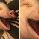 에이블짐 한양대점 이미지