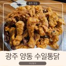 장모님통닭 | [광주 맛집]양동통닭 양대산맥 수일통닭 방문후기! 광주 최고의 치킨 맛집