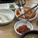 국이오 비산점 이미지