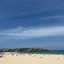 호주면세점동해무릉점 | [호주/시드니] 12월 시드니 신혼여행 1일차 (시드니 택시투어)