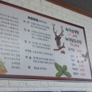 노루뫼부대찌개 | 속초 금강산녹각삼계탕 현지인의 복날 몸보신