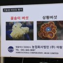(주)아람미디어 이미지