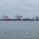 배곧한울공원 이미지