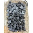 블루베리 이미지