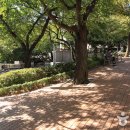 중구 누리길(제2코스) 이미지