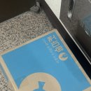 집으로 물이 아닌 술을 배달하는 사람이 있다?!! / 전통주 구매후기 / 술마켓 내돈내산