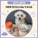 뉴팜프로바이오틱스 | 강아지 요로결석 영양제, 장건강 및 비뇨기 관리 종근당 라비벳 유산균 솔직 후기