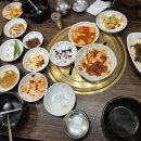박가네 티스토리