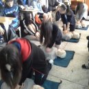 잠신중학교 이미지