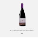 와인샵비노클럽 이미지
