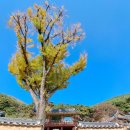 상곡길 | 군위 선방산 지보사