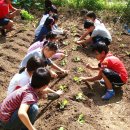 명산초등학교 이미지