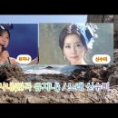 등대가든