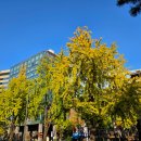 원종한일 이미지