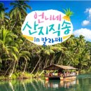 대리정밀노동조합 | 언니네 산지직송 in 칼라페 인기 이유는? (시청률 1위 비결 분석)