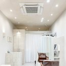salon de 봄날 네이버블로그