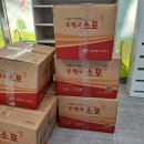 체스야 놀자 이미지